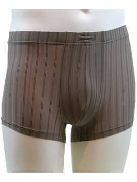 Perseus Shorts